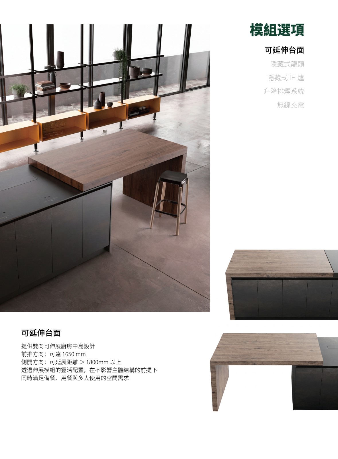 模組選項–可延伸台面